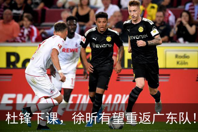 杜锋下课，徐昕有望重返广东队！